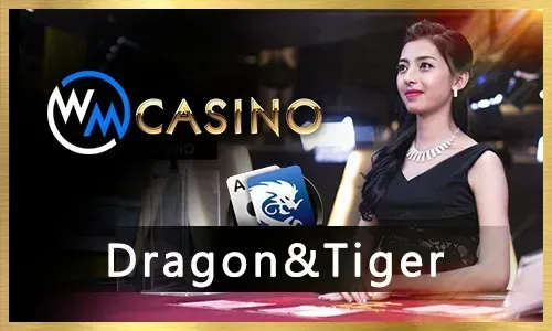 Live Casino Provider Logo